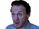 https://image.noelshack.com/minis/2017/34/5/1503685076-bronndqddqd.png