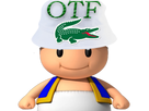 https://image.noelshack.com/fichiers/2017/34/6/1503749031-toad-otf.png