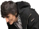 https://image.noelshack.com/fichiers/2017/34/7/1503850460-ronniewood2.png