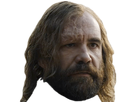 https://image.noelshack.com/fichiers/2017/35/1/1503896767-clegane01.png