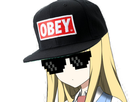 https://image.noelshack.com/fichiers/2017/35/1/1503930786-obey.png