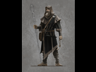 https://image.noelshack.com/fichiers/2017/35/1/1503936685-mage-robes-male-1.jpg
