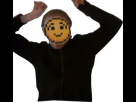 https://image.noelshack.com/minis/2017/35/2/1503958068-stickeritsmorphintime.png