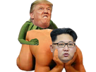 https://image.noelshack.com/fichiers/2017/35/2/1504010060-trump-kim.png