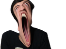 https://image.noelshack.com/minis/2017/35/3/1504098020-roijorij.png