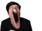 https://image.noelshack.com/minis/2017/35/3/1504098023-roijori.png