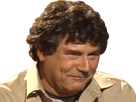 https://image.noelshack.com/fichiers/2017/35/3/1504120852-12182-full.png