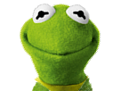 https://image.noelshack.com/minis/2017/35/3/1504121351-kermitt.png