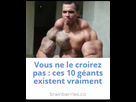 https://image.noelshack.com/fichiers/2017/35/3/1504122572-capture.png