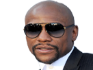 https://image.noelshack.com/fichiers/2017/35/4/1504178227-mayweather-qlf.png