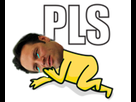 https://image.noelshack.com/minis/2017/35/4/1504195314-pls.png