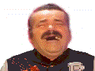https://image.noelshack.com/fichiers/2017/35/5/1504292565-1479669585-risitas-jacket1.png