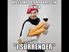 https://image.noelshack.com/fichiers/2017/35/6/1504321613-most-important-phrase-in-french-i-surrender.jpg