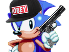 https://image.noelshack.com/fichiers/2017/35/7/1504390203-sonicvnr2.png