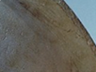 https://image.noelshack.com/fichiers/2017/35/7/1504461106-20-tpgbhaof.png