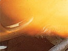 https://image.noelshack.com/fichiers/2017/35/7/1504461111-43-tpgbhaof.png