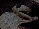 https://image.noelshack.com/fichiers/2017/35/7/1504461115-59-tpgbhaof.png