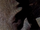 https://image.noelshack.com/fichiers/2017/35/7/1504461116-58-tpgbhaof.png
