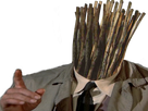 https://image.noelshack.com/fichiers/2017/36/1/1504547152-brindillesrisitas22.png