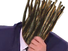 https://image.noelshack.com/minis/2017/36/1/1504547152-brindillesrisitas24.png