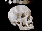 https://image.noelshack.com/fichiers/2017/36/2/1504638372-0tts1if2.png