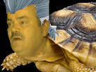 https://image.noelshack.com/fichiers/2017/36/2/1504640226-risitortue.png