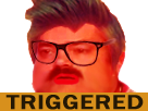https://image.noelshack.com/minis/2017/36/6/1504964534-triggered.png