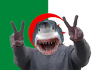https://image.noelshack.com/minis/2017/36/6/1504992673-shark-pnl-algerie.png