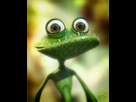 https://image.noelshack.com/fichiers/2017/36/7/1505048235-lezard.jpg