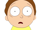 https://image.noelshack.com/minis/2017/36/7/1505053216-morty-peur-degoute.png