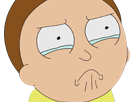 https://image.noelshack.com/minis/2017/36/7/1505053218-morty-pleure.png