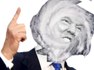 https://image.noelshack.com/fichiers/2017/36/7/1505073353-irma-trump.png