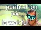 https://image.noelshack.com/minis/2017/36/7/1505075654-purification-par-le-wakfu.png