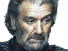 https://image.noelshack.com/minis/2017/37/2/1505244696-bryndendqzd.png