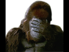 https://image.noelshack.com/minis/2017/37/5/1505482401-koko3.png