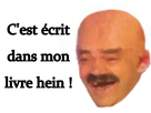 https://image.noelshack.com/fichiers/2017/37/6/1505574126-c-est-ecrit-dans-mon-livre-hein-sticker-risitas.png