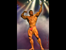 https://image.noelshack.com/fichiers/2017/37/7/1505653376-gunter-schlierkamp-65.jpg