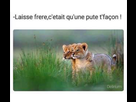 https://image.noelshack.com/fichiers/2017/38/2/1505854025-image.jpg