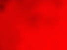 https://image.noelshack.com/fichiers/2017/38/4/1505992638-10-o0ndp4va.gif