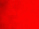 https://image.noelshack.com/fichiers/2017/38/4/1505992644-18-o0ndp4va.gif