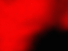 https://image.noelshack.com/fichiers/2017/38/4/1505992679-51-o0ndp4va.gif