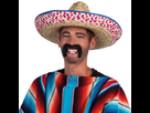 https://www.noelshack.com/2017-38-5-1506043285-moustache-mexicain.jpg