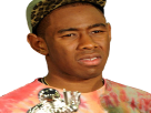 https://image.noelshack.com/fichiers/2017/38/6/1506121938-tyler2.png