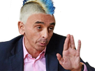 https://image.noelshack.com/minis/2017/39/1/1506345302-zemmour-punk.png