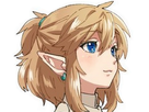 https://image.noelshack.com/minis/2017/39/1/1506348659-linkg.png