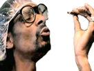 https://image.noelshack.com/fichiers/2017/39/4/1506553349-snoop1.png