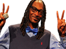 https://image.noelshack.com/fichiers/2017/39/4/1506553573-snoop7.png