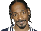 https://image.noelshack.com/fichiers/2017/39/4/1506553636-snoop8.png