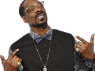 https://image.noelshack.com/minis/2017/39/4/1506553697-snoop10.png