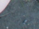 https://image.noelshack.com/minis/2017/39/6/1506794238-19-t9ghle73.png